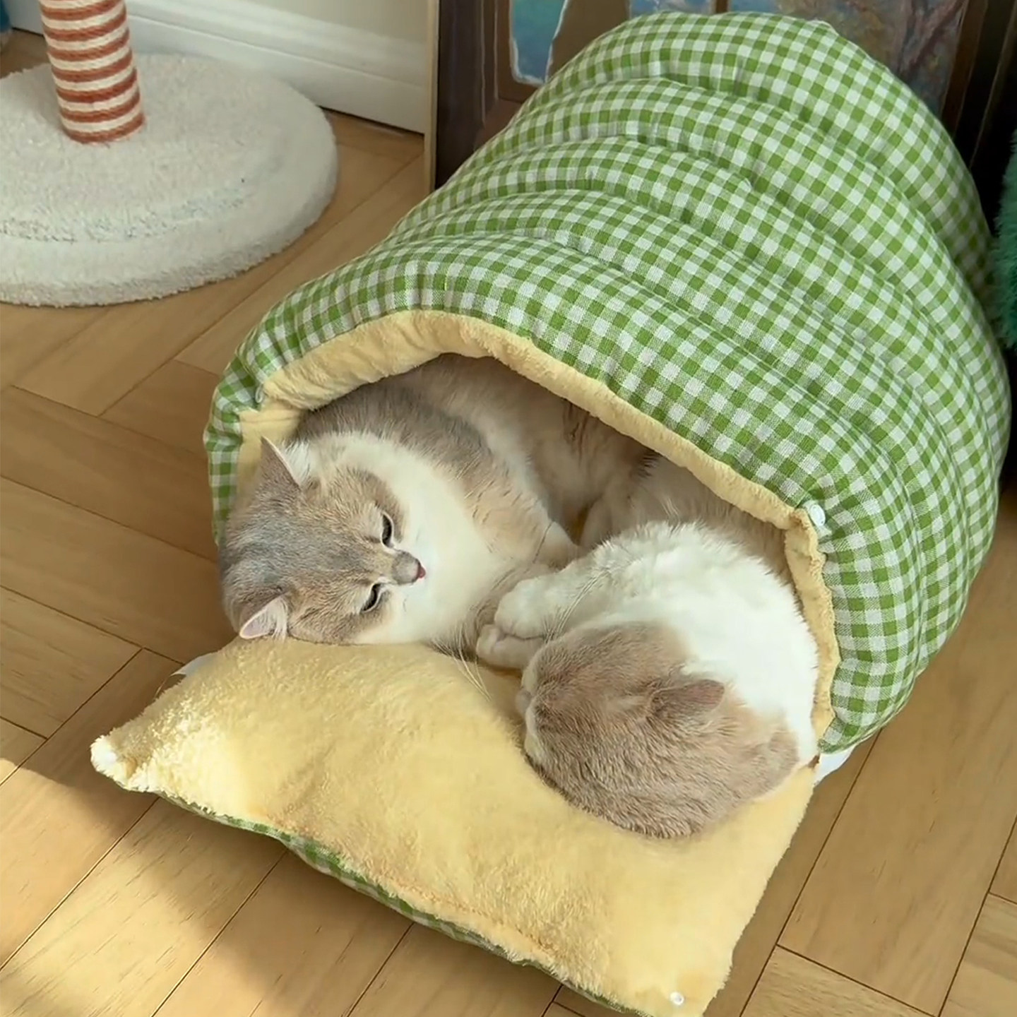 Heavy Duty Anti-Chew Canvas Bed - Image 3