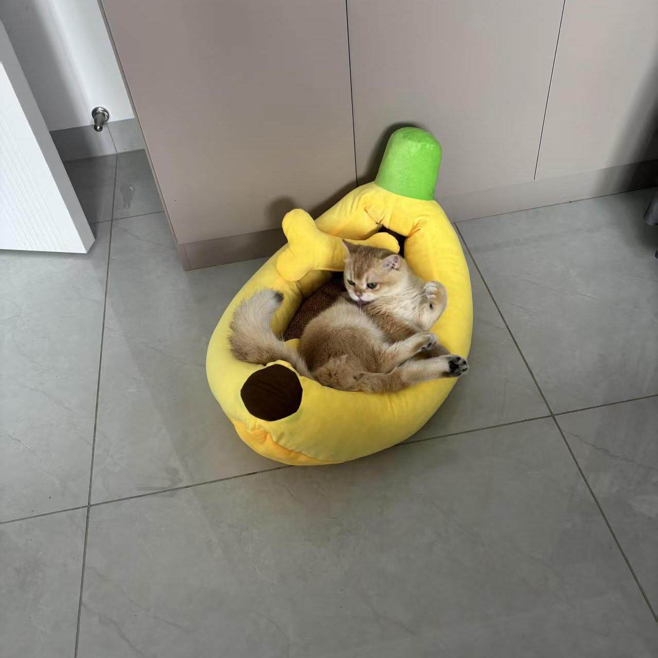 Anti-Anxiety Deep Sleep Pod - Image 4